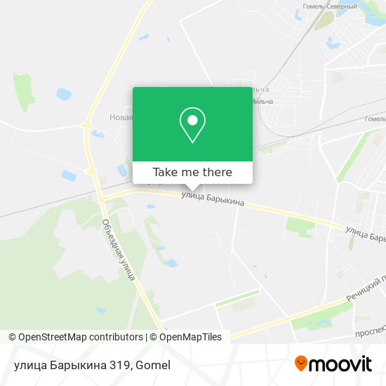 улица Барыкина 319 map
