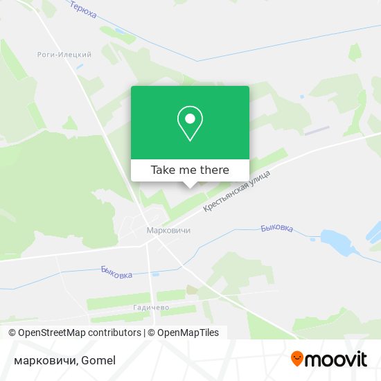 марковичи map