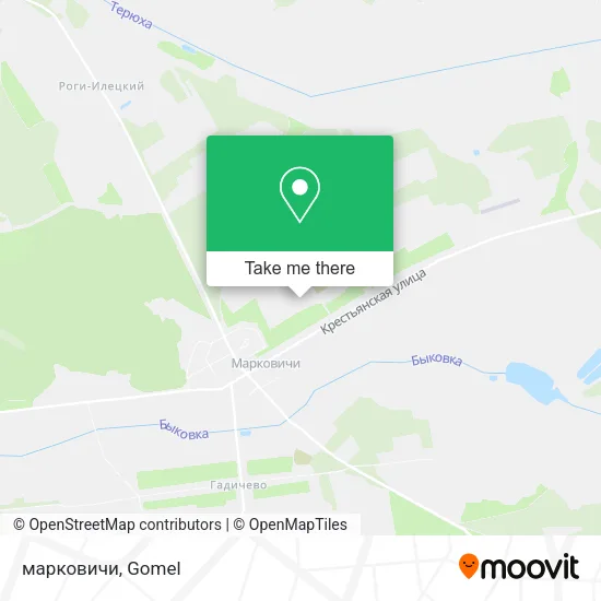 марковичи map