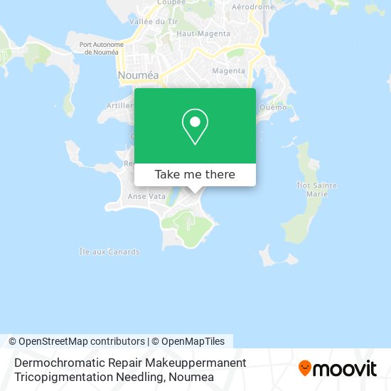 Dermochromatic Repair Makeuppermanent Tricopigmentation Needling map