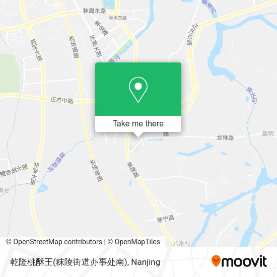 乾隆桃酥王(秣陵街道办事处南) map