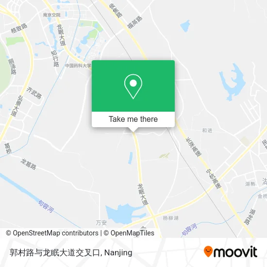 郭村路与龙眠大道交叉口 map