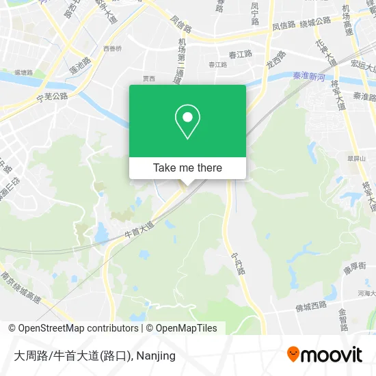 大周路/牛首大道(路口) map