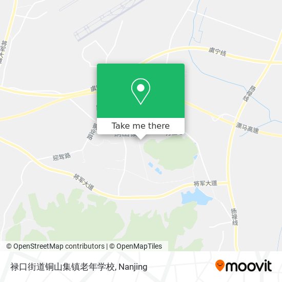 禄口街道铜山集镇老年学校 map