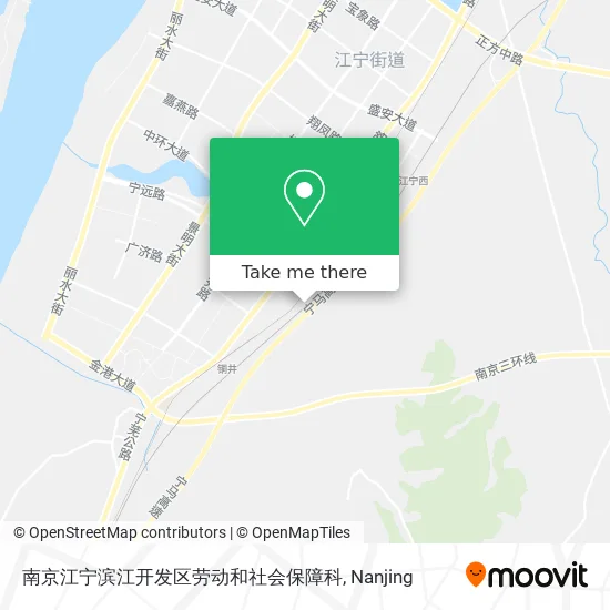 南京江宁滨江开发区劳动和社会保障科 map