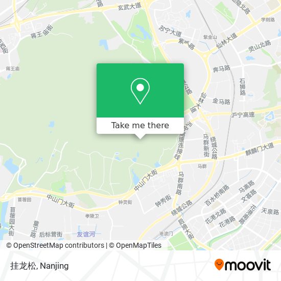 挂龙松 map