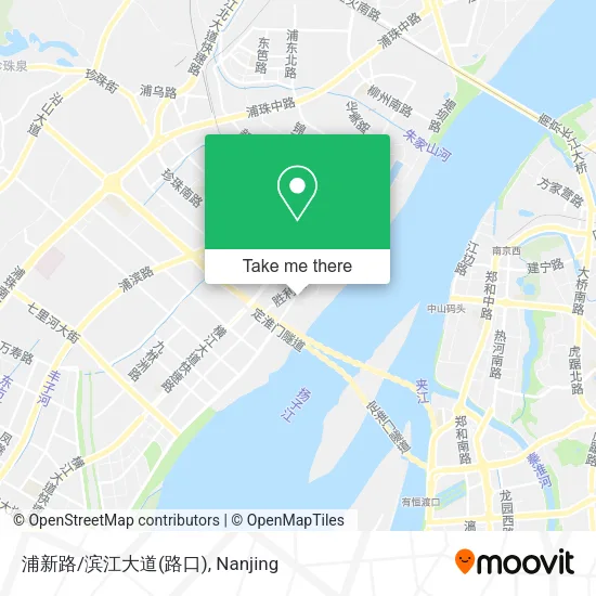 浦新路/滨江大道(路口) map