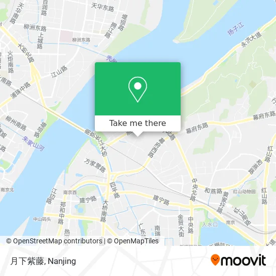 月下紫藤 map