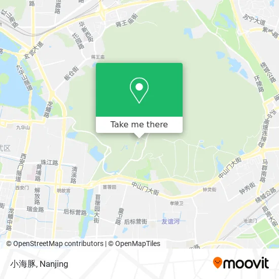 小海豚 map