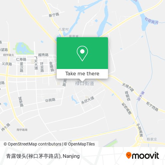 青露馒头(禄口茅亭路店) map