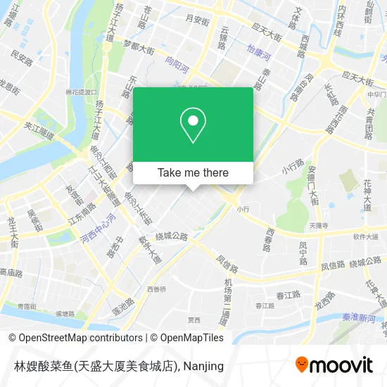 林嫂酸菜鱼(天盛大厦美食城店) map