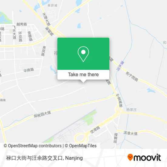 禄口大街与汪余路交叉口 map