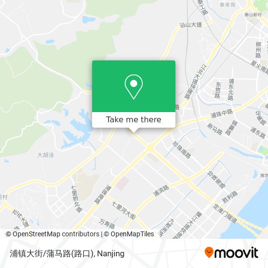 浦镇大街/蒲马路(路口) map