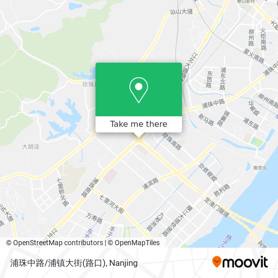 浦珠中路/浦镇大街(路口) map