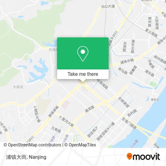 浦镇大街 map