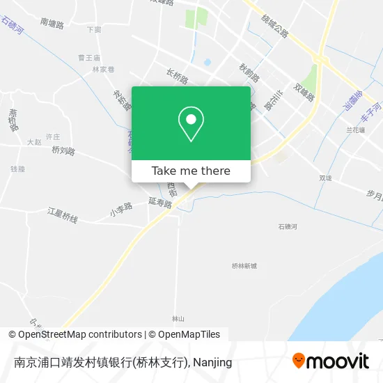 南京浦口靖发村镇银行(桥林支行) map
