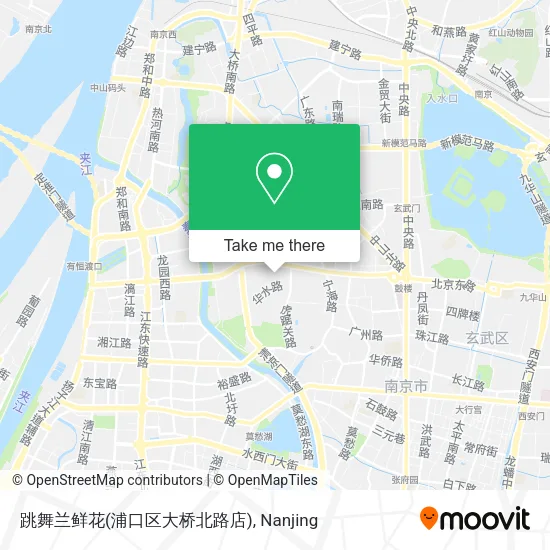 跳舞兰鲜花(浦口区大桥北路店) map