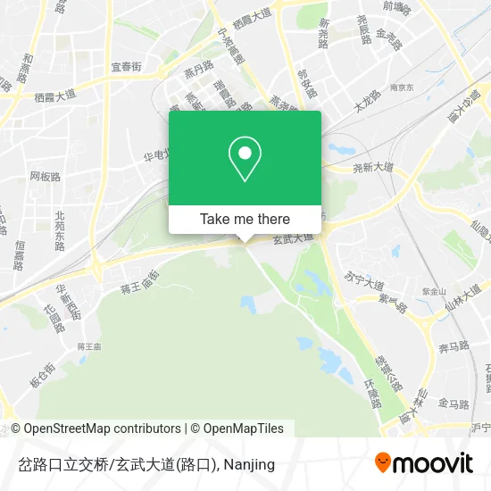 岔路口立交桥/玄武大道 map