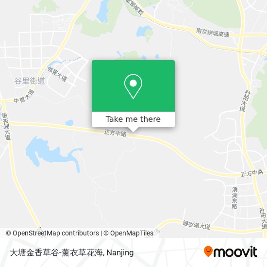 大塘金香草谷-薰衣草花海 map