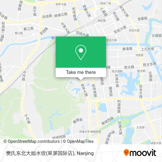 樊氏东北大姐水饺(翠屏国际店) map