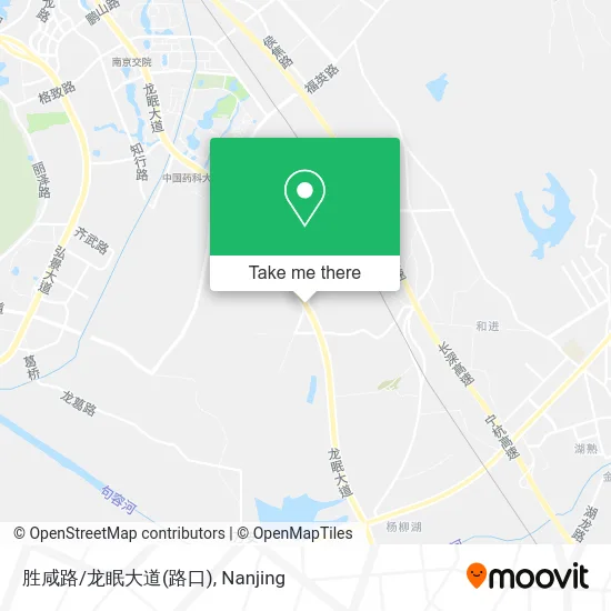 胜咸路/龙眠大道(路口) map