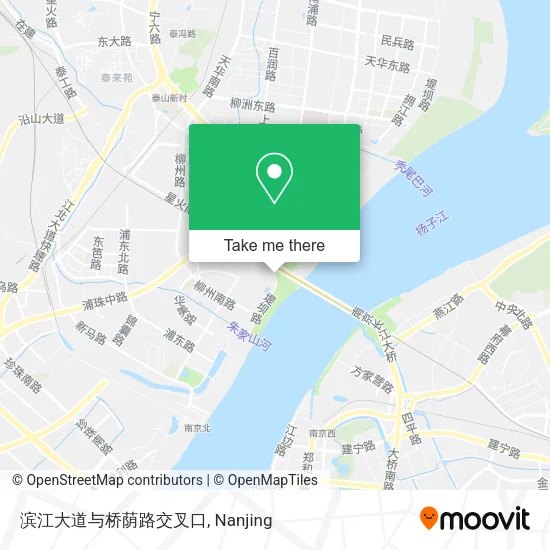 滨江大道与桥荫路交叉口 map