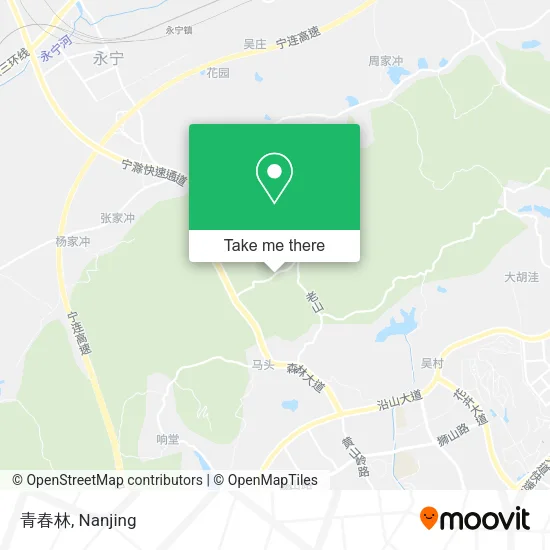 青春林 map