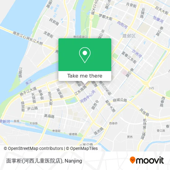 面掌柜(河西儿童医院店) map