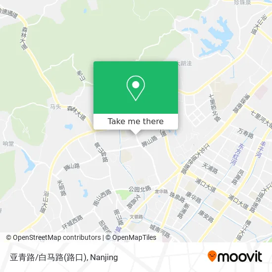 亚青路/白马路(路口) map
