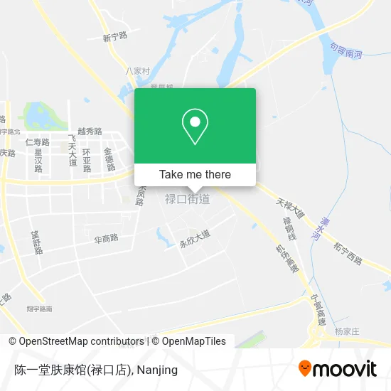 陈一堂肤康馆(禄口店) map