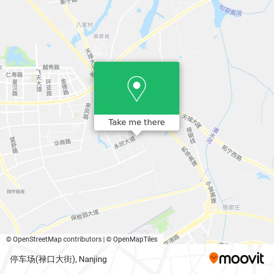 停车场(禄口大街) map