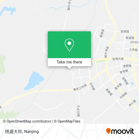 桃盛大街 map