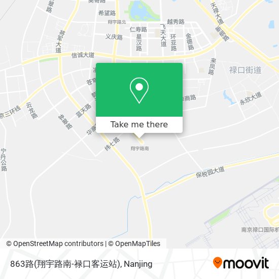 863路(翔宇路南-禄口客运站) map