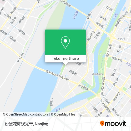 粉黛花海观光带 map