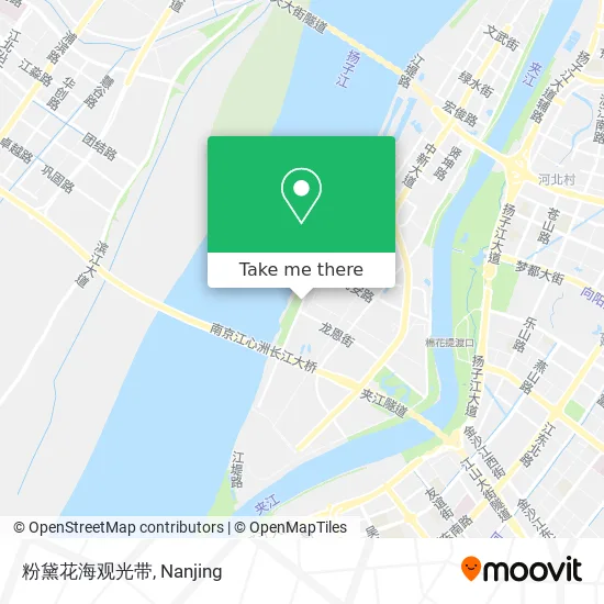 粉黛花海观光带 map