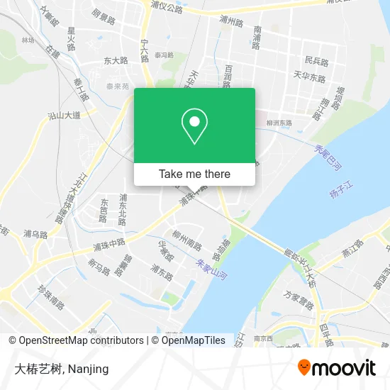 大椿艺树 map