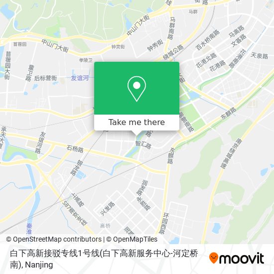 白下高新接驳专线1号线(白下高新服务中心-河定桥南) map