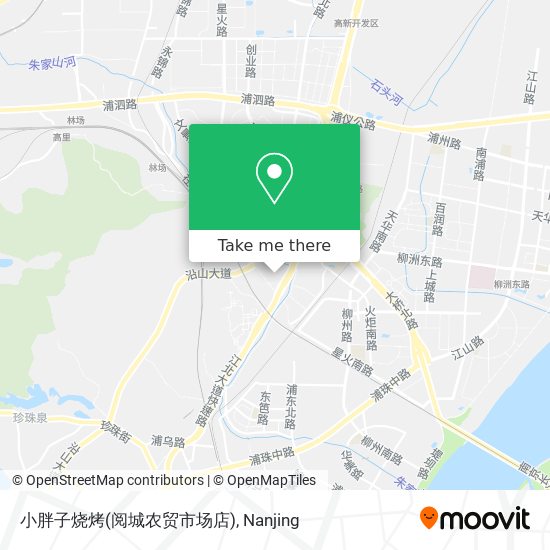 小胖子烧烤(阅城农贸市场店) map