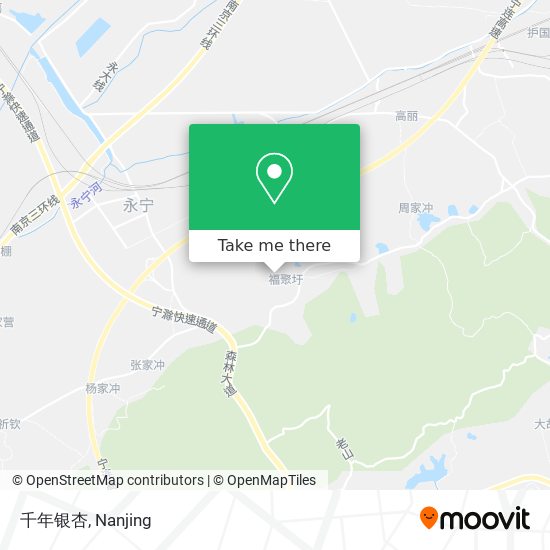 千年银杏 map