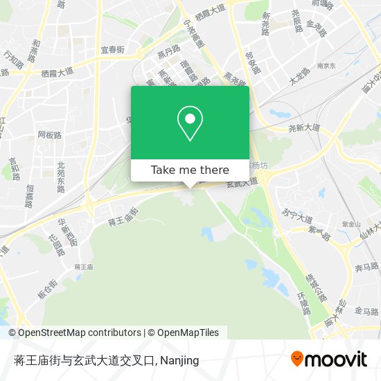 蒋王庙街与玄武大道交叉口 map