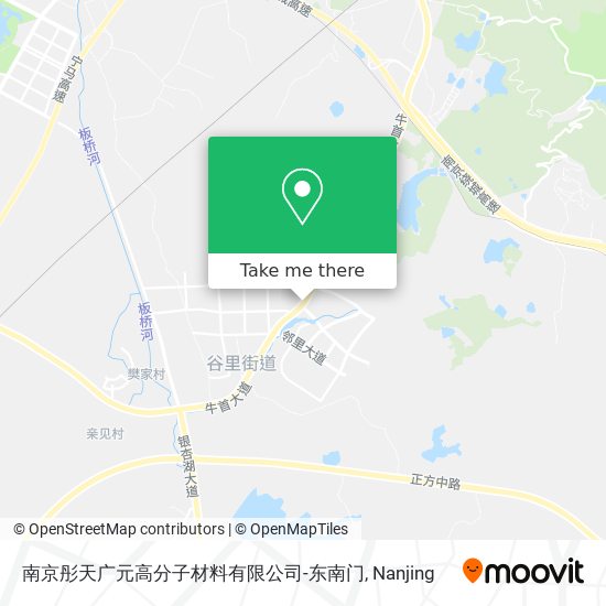 南京彤天广元高分子材料有限公司-东南门 map