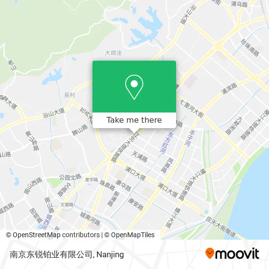 南京东锐铂业有限公司 map
