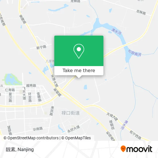 靓素 map