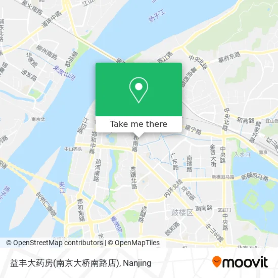 益丰大药房(南京大桥南路店) map