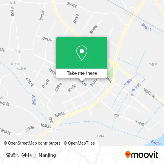 紫峰研创中心 map