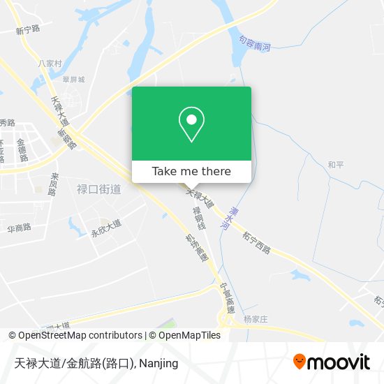 天禄大道/金航路(路口) map