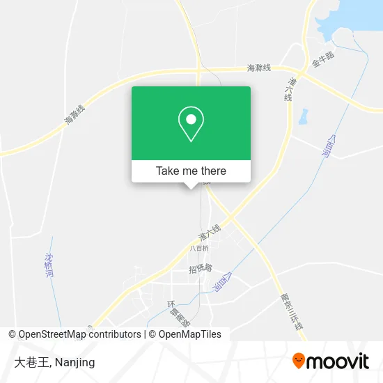 大巷王 map