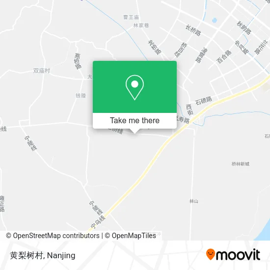黄梨树村 map