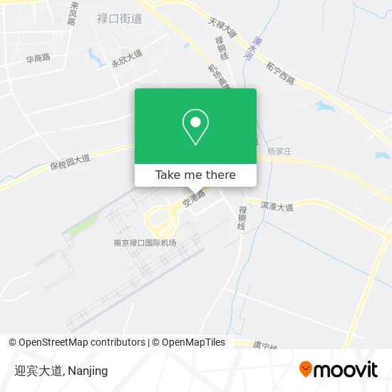 迎宾大道 map
