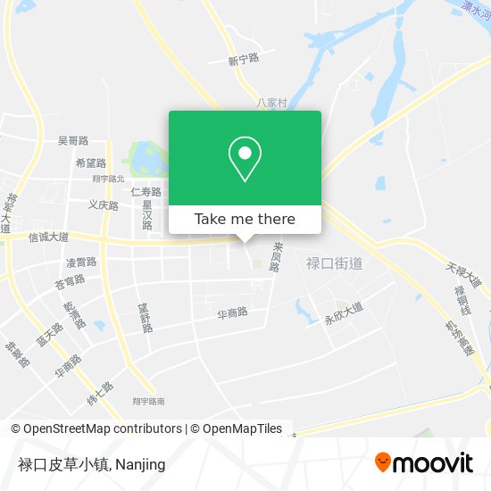 禄口皮草小镇 map